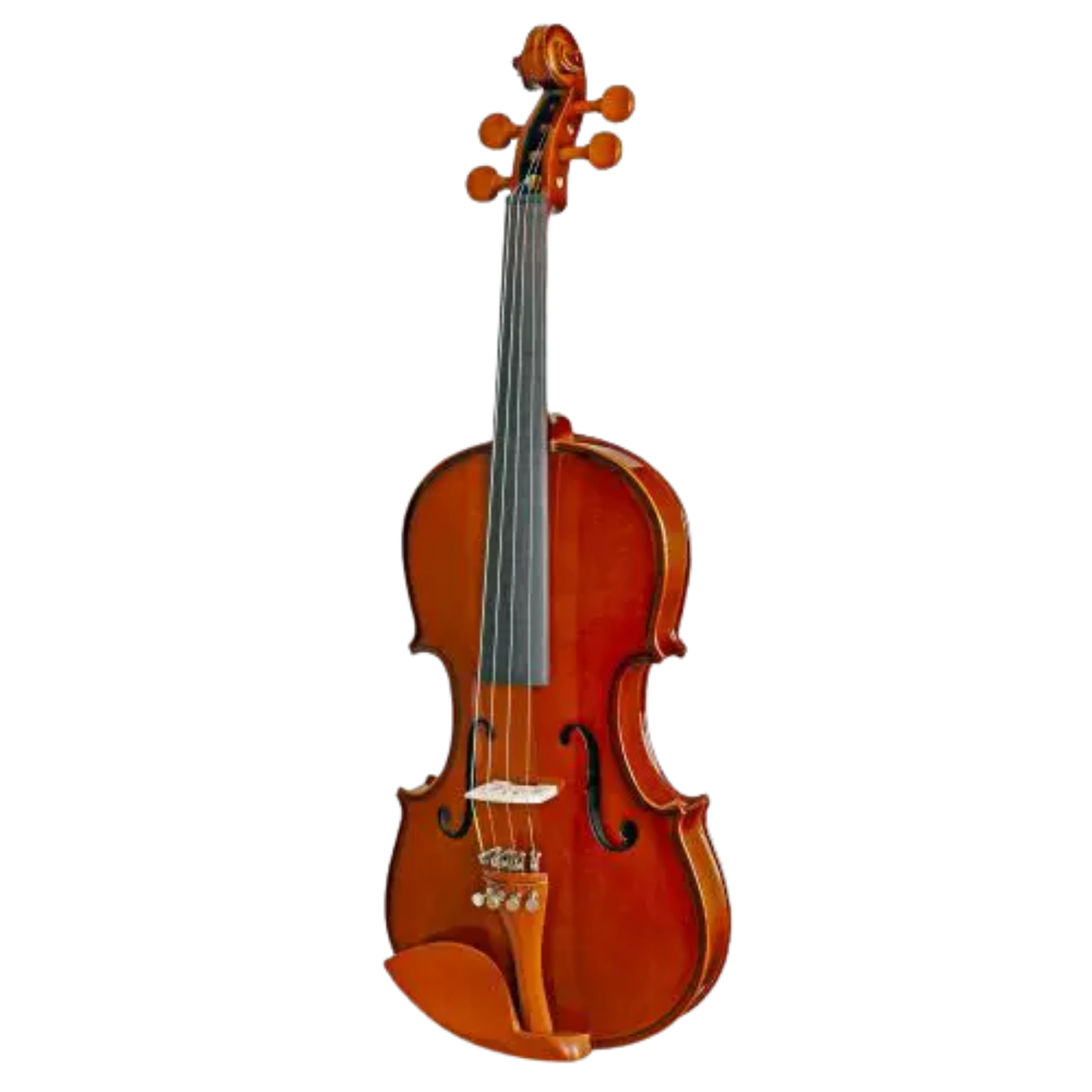 Violino Tokai