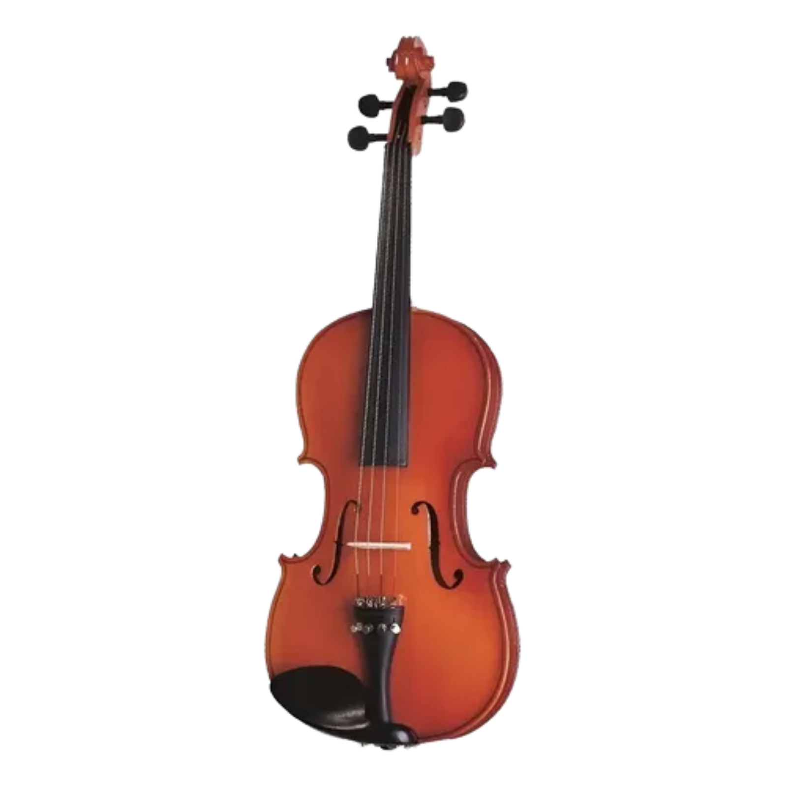 Violino Michael