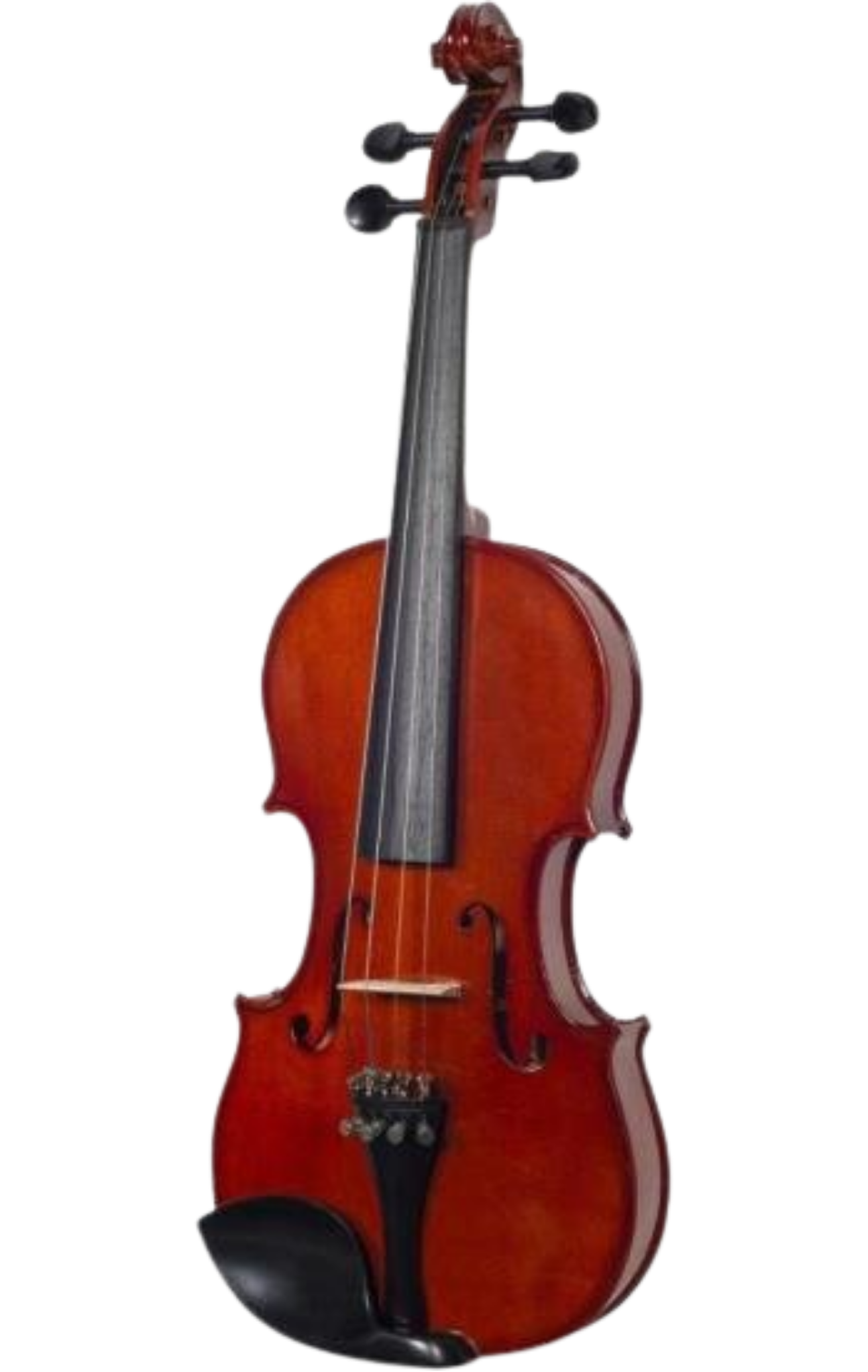 Violino Michael