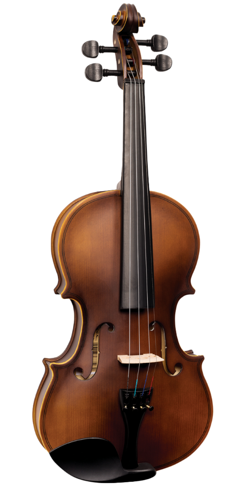 Viola Vogga