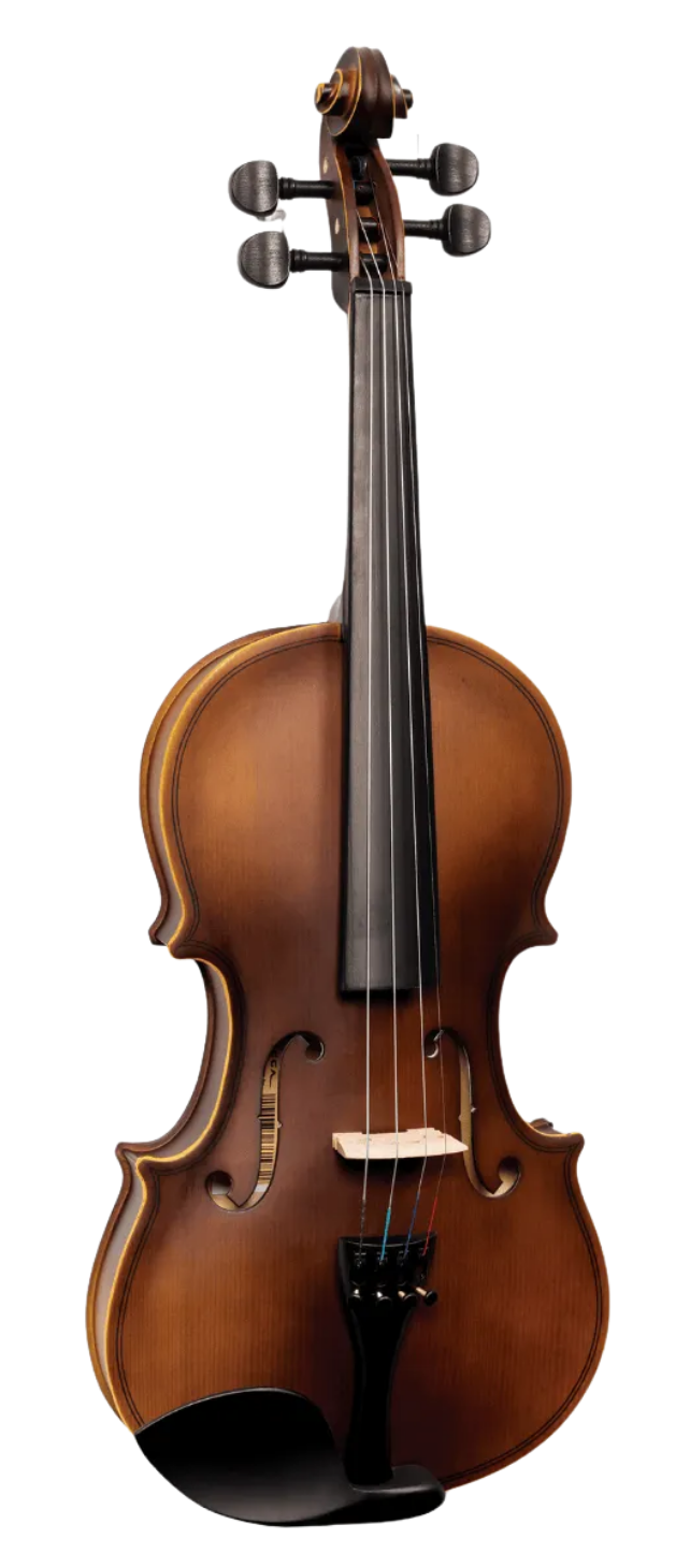 Violino Vogga