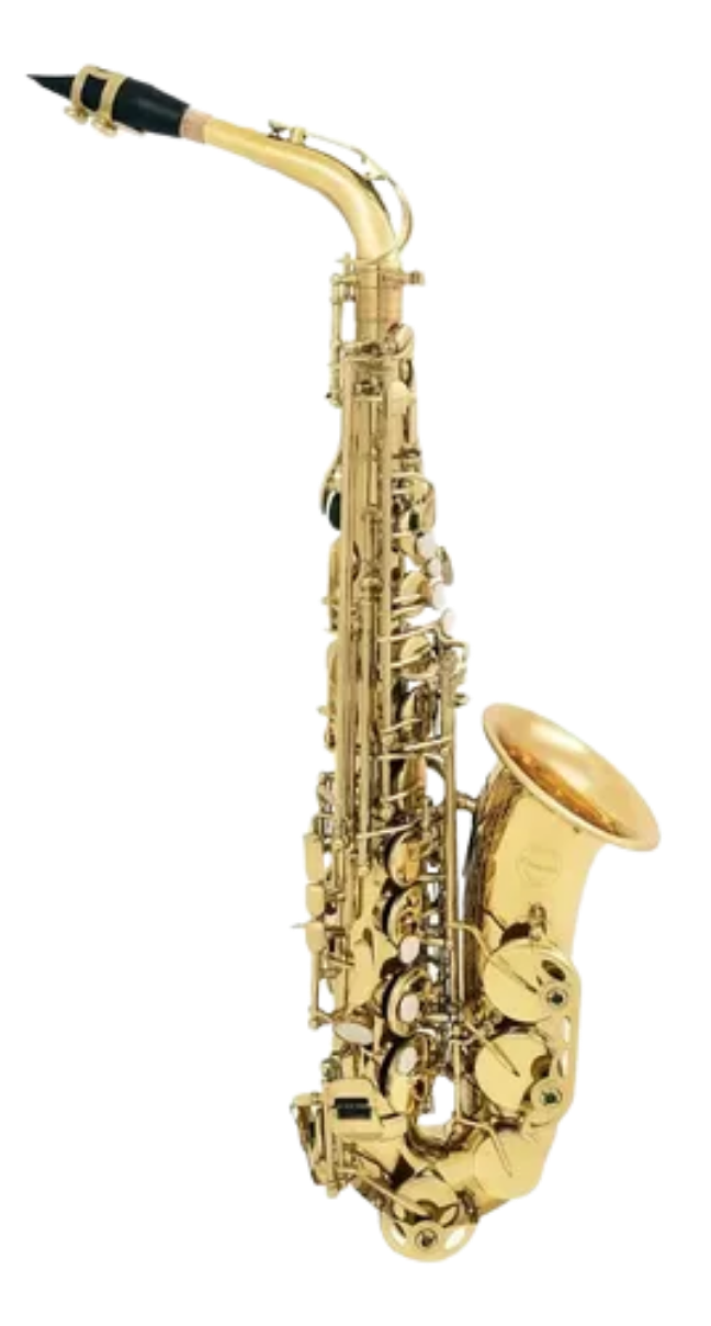 Saxofone Alto Vogga
